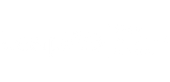 Leap29 logo